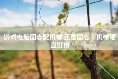 游戏电脑固态配机械,还是固态＋机械硬盘好用