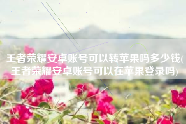 王者荣耀安卓账号可以转苹果吗多少钱(王者荣耀安卓账号可以在苹果登录吗)