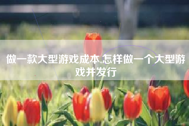 做一款大型游戏成本,怎样做一个大型游戏并发行