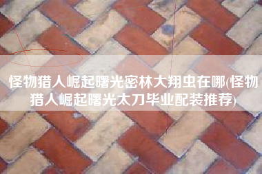 怪物猎人崛起曙光密林大翔虫在哪(怪物猎人崛起曙光太刀毕业配装推荐)