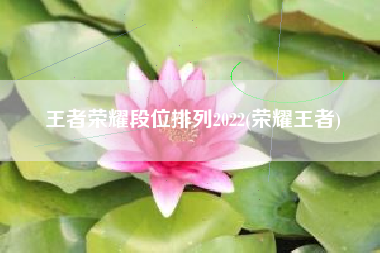 王者荣耀段位排列2022(荣耀王者)