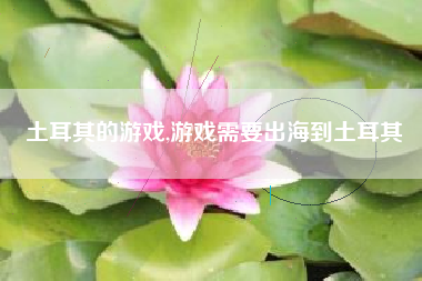 土耳其的游戏,游戏需要出海到土耳其