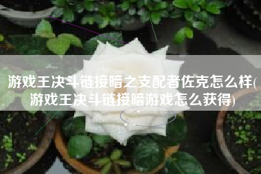 游戏王决斗链接暗之支配者佐克怎么样(游戏王决斗链接暗游戏怎么获得)