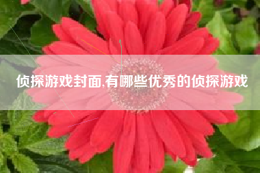 侦探游戏封面,有哪些优秀的侦探游戏