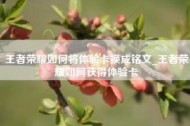 王者荣耀如何将体验卡换成铭文_王者荣耀如何获得体验卡