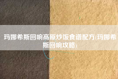 玛娜希斯回响高原炒饭食谱配方(玛娜希斯回响攻略)