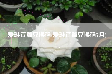 爱琳诗篇兑换码(爱琳诗篇兑换码7月)