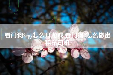 看门狗2cpy怎么开游戏,看门狗2怎么做出租车司机