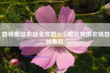 首领集结农场全攻略2022(暗区突围农场首领集结)