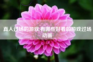 真人过场的游戏,有哪些好看的游戏过场动画