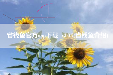 省钱鱼官方app下载  v3.0.7(省钱鱼介绍)