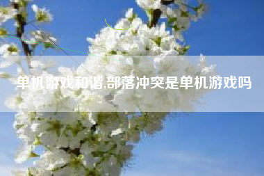 单机游戏和谐,部落冲突是单机游戏吗