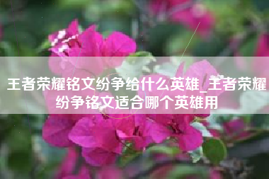 王者荣耀铭文纷争给什么英雄_王者荣耀纷争铭文适合哪个英雄用