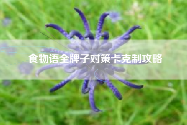 食物语全牌子对策卡克制攻略
