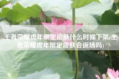 王者荣耀虎年限定皮肤什么时候下架(王者荣耀虎年限定皮肤会返场吗)
