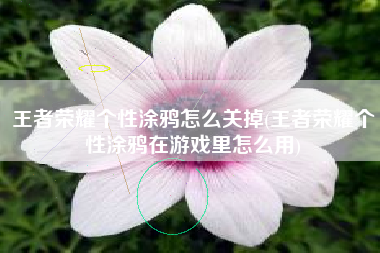 王者荣耀个性涂鸦怎么关掉(王者荣耀个性涂鸦在游戏里怎么用)