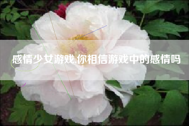 感情少女游戏,你相信游戏中的感情吗