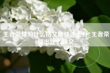 王者荣耀的什么铭文能快速上分_王者荣耀出什么铭文
