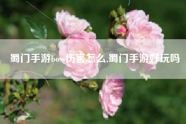 蜀门手游boss伤害怎么,蜀门手游好玩吗