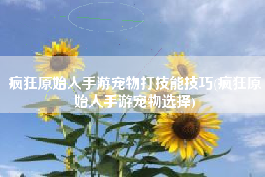 疯狂原始人手游宠物打技能技巧(疯狂原始人手游宠物选择)