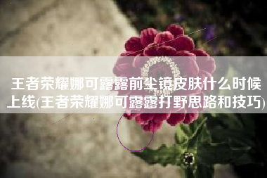 王者荣耀娜可露露前尘镜皮肤什么时候上线(王者荣耀娜可露露打野思路和技巧)