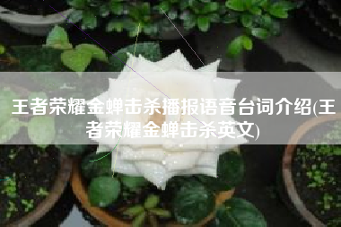 王者荣耀金蝉击杀播报语音台词介绍(王者荣耀金蝉击杀英文)