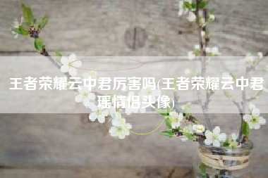 王者荣耀云中君厉害吗(王者荣耀云中君瑶情侣头像)