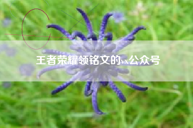 王者荣耀领铭文的vx公众号