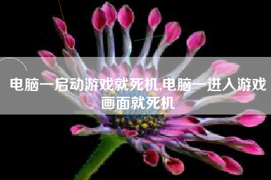电脑一启动游戏就死机,电脑一进入游戏画面就死机