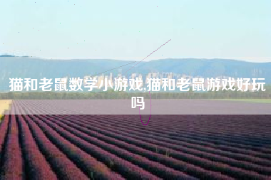 猫和老鼠数学小游戏,猫和老鼠游戏好玩吗