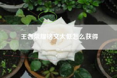 王者荣耀铭文太低怎么获得