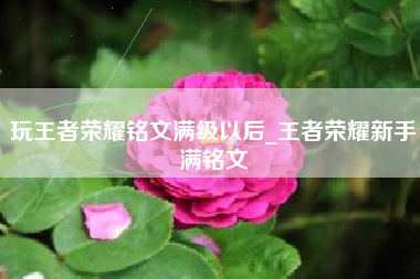 玩王者荣耀铭文满级以后_王者荣耀新手满铭文