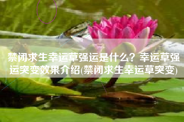 禁闭求生幸运草强运是什么？幸运草强运突变效果介绍(禁闭求生幸运草突变)