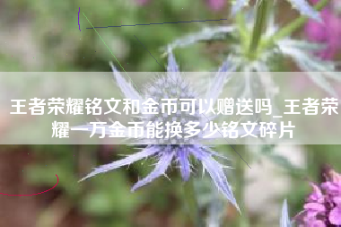王者荣耀铭文和金币可以赠送吗_王者荣耀一万金币能换多少铭文碎片