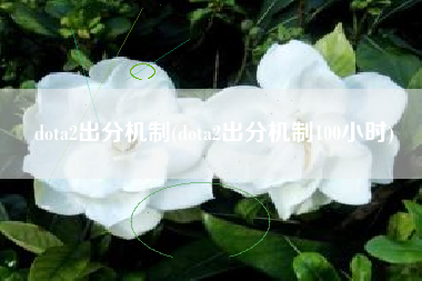dota2出分机制(dota2出分机制100小时)