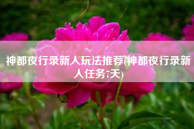 神都夜行录新人玩法推荐(神都夜行录新人任务7天)