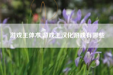 游戏王体术,游戏王汉化游戏有哪些