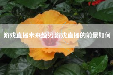 游戏直播未来趋势,游戏直播的前景如何