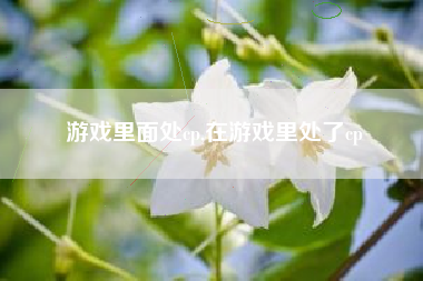 游戏里面处cp,在游戏里处了cp