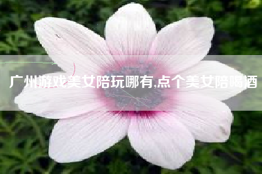 广州游戏美女陪玩哪有,点个美女陪喝酒