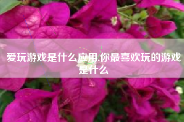 爱玩游戏是什么应用,你最喜欢玩的游戏是什么