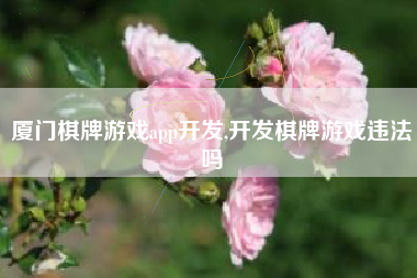 厦门棋牌游戏app开发,开发棋牌游戏违法吗