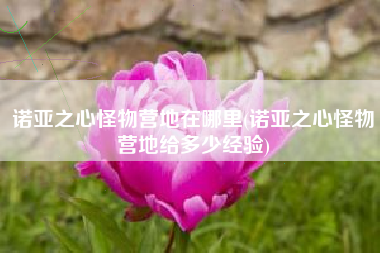 诺亚之心怪物营地在哪里(诺亚之心怪物营地给多少经验)