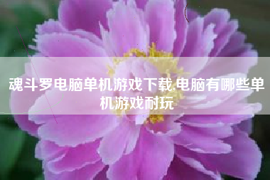 魂斗罗电脑单机游戏下载,电脑有哪些单机游戏耐玩