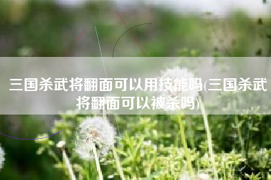 三国杀武将翻面可以用技能吗(三国杀武将翻面可以被杀吗)