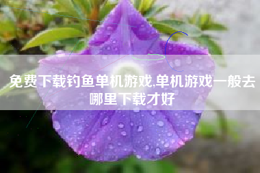 免费下载钓鱼单机游戏,单机游戏一般去哪里下载才好