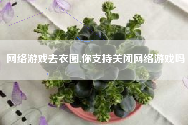 网络游戏去衣图,你支持关闭网络游戏吗