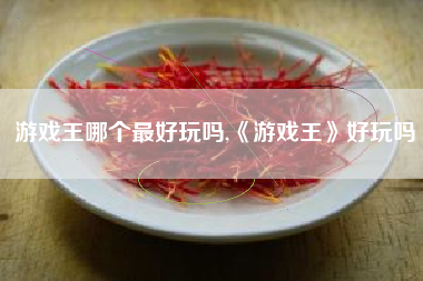 游戏王哪个最好玩吗,《游戏王》好玩吗