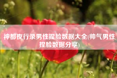 神都夜行录男性捏脸数据大全(帅气男性捏脸数据分享)