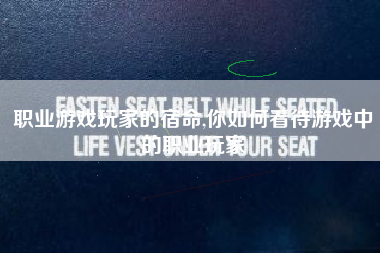 职业游戏玩家的宿命,你如何看待游戏中的职业玩家